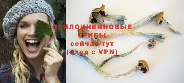 ALPHA-PVP Аркадак
