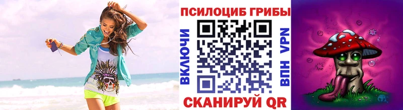 omg как войти  купить закладку  Вихоревка  Галлюциногенные грибы Psilocybine cubensis 